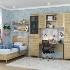 Детская Мелисса композиция 12 (Гикори Джексон светлый) в Ишиме - ishim.mebel24.online | фото