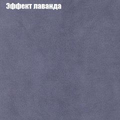 Диван Бинго 2 (ткань до 300) в Ишиме - ishim.mebel24.online | фото 64