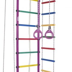 ДСК Атлант цв.фиолетовый радуга: турник, кольца, канат, трапеция, веревочная лестница в Ишиме - ishim.mebel24.online | фото 1