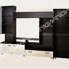 Гостиная Аллегро вариант-3 (Венге/Белфорт) в Ишиме - ishim.mebel24.online | фото 2