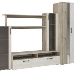 Гостиная Эмма (Дуб Крафт серый/белый) в Ишиме - ishim.mebel24.online | фото 2