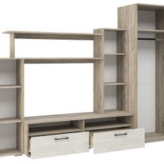 Гостиная Эмма (Дуб Крафт серый/белый) в Ишиме - ishim.mebel24.online | фото 3