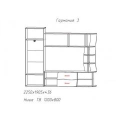 Гостиная ГАРМОНИЯ-3 (ЦРК.ГРМ.03) в Ишиме - ishim.mebel24.online | фото 2