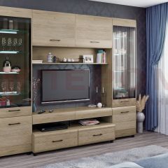Гостиная Камелия Композиция 11 (Гикори Джексон светлый) в Ишиме - ishim.mebel24.online | фото