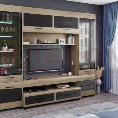 Гостиная Камелия Композиция 11 (Гикори Джексон светлый комбинированный) в Ишиме - ishim.mebel24.online | фото