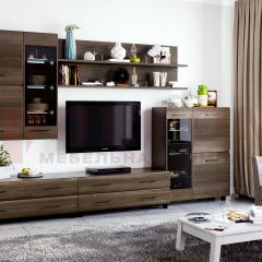 Гостиная Камелия Композиция 6 (Гикори Джексон темный) в Ишиме - ishim.mebel24.online | фото