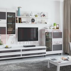 Гостиная Камелия Композиция 6 (Снежный ясень - серый) в Ишиме - ishim.mebel24.online | фото