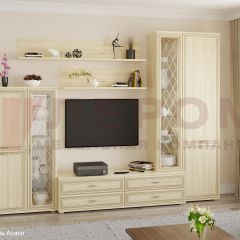 Гостиная Карина Композиция 12 (Ясень Асахи) в Ишиме - ishim.mebel24.online | фото