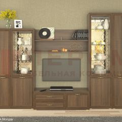 Гостиная Карина Композиция 24 (Акация Молдау) в Ишиме - ishim.mebel24.online | фото