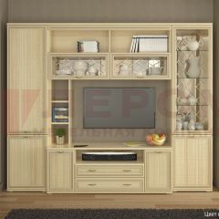 Гостиная Карина Композиция 9 (Ясень Асахи) в Ишиме - ishim.mebel24.online | фото