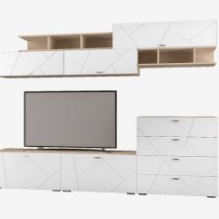 Гостиная Скайлайн набор ДБ- 4 (дуб сонома светлый/белый) в Ишиме - ishim.mebel24.online | фото