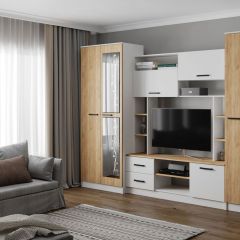 Гостиная СОЛО ЛДСП Белый /ЛДСП Дуб крафт золотой в Ишиме - ishim.mebel24.online | фото