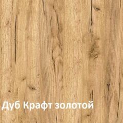 Крафт Полка для обуви 15.63 в Ишиме - ishim.mebel24.online | фото 3