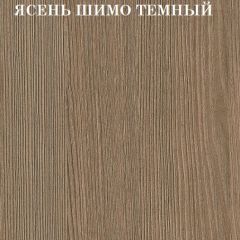 Кровать 2-х ярусная с диваном Карамель 75 (АРТ) Ясень шимо светлый/темный в Ишиме - ishim.mebel24.online | фото 5