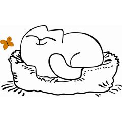 Кровать двухуровневая Кот № 900.1 ЛЕВАЯ (туя светлая/белый) в Ишиме - ishim.mebel24.online | фото 2