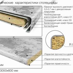 Кухонный фартук со столешницей (А-014) в едином стиле (3050 мм) в Ишиме - ishim.mebel24.online | фото 7