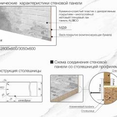 Кухонный фартук со столешницей (А-014) в едином стиле (3050 мм) в Ишиме - ishim.mebel24.online | фото 6