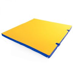 Мат гимнастический 1х1х0,05м с вырезом под стойки цв. синий-желтый в Ишиме - ishim.mebel24.online | фото 1