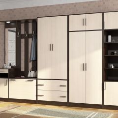 Прихожая ДИАНА-4 сек №3 (Венге/Дуб молочный) в Ишиме - ishim.mebel24.online | фото 3