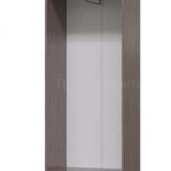 ДОМИНО Прихожая Шкаф для одежды (Бодега темный/светлый) в Ишиме - ishim.mebel24.online | фото 2