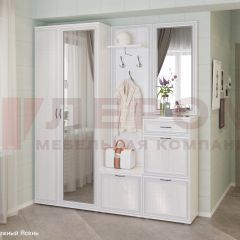 Прихожая Карина композиция 1 (Снежный ясень) в Ишиме - ishim.mebel24.online | фото