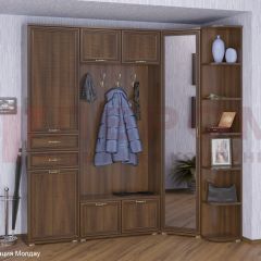 Прихожая Карина композиция 3 (Акация Молдау) в Ишиме - ishim.mebel24.online | фото