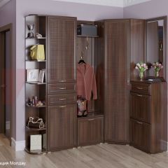 Прихожая Карина композиция 5 (Акация Молдау) в Ишиме - ishim.mebel24.online | фото