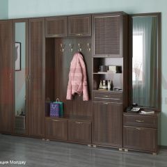 Прихожая Карина композиция 6 (Акация Молдау) в Ишиме - ishim.mebel24.online | фото
