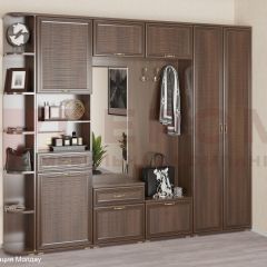 Прихожая Карина композиция 7 (Акация Молдау) в Ишиме - ishim.mebel24.online | фото
