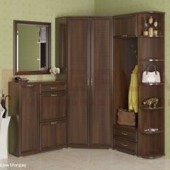 Прихожая Карина композиция 8 (Акация Молдау) в Ишиме - ishim.mebel24.online | фото