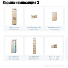 Прихожая Карина (модульная) в Ишиме - ishim.mebel24.online | фото 8