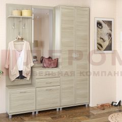 Прихожая Мелисса композиция 11 (Ясень Асахи) в Ишиме - ishim.mebel24.online | фото
