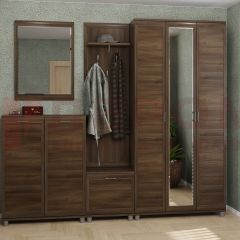 Прихожая Мелисса композиция 2 (Акация Молдау) в Ишиме - ishim.mebel24.online | фото
