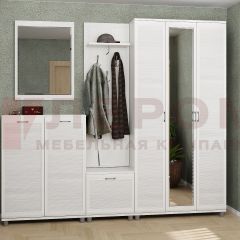 Прихожая Мелисса композиция 2 (Снежный ясень) в Ишиме - ishim.mebel24.online | фото