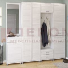 Прихожая Мелисса композиция 4 (Снежный Ясень) в Ишиме - ishim.mebel24.online | фото