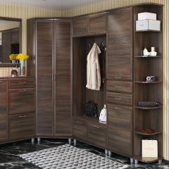 Прихожая Мелисса композиция 6 (Акация Молдау) в Ишиме - ishim.mebel24.online | фото