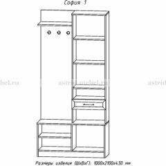 Прихожая София 1 в Ишиме - ishim.mebel24.online | фото 3