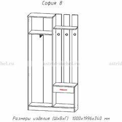 Прихожая София 8 в Ишиме - ishim.mebel24.online | фото 2