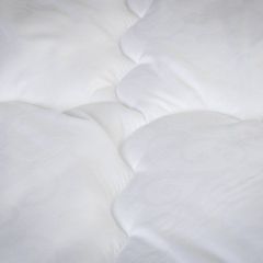 PROxSON Одеяло классическое PROSON (Стеганное полотно) 140x200 в Ишиме - ishim.mebel24.online | фото 4