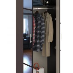 Сакура Шкаф 2-х створчатый комбинированный, цвет венге/дуб лоредо, ШхГхВ 80х61х220 см., в комплекте и штанга для одежды и полки в Ишиме - ishim.mebel24.online | фото 3