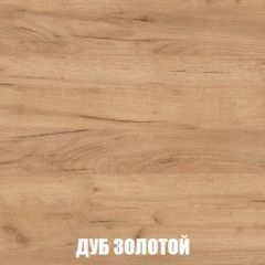 Шкаф 2-х створчатый МСП-1 (Дуб Золотой/Камень темный) в Ишиме - ishim.mebel24.online | фото 4