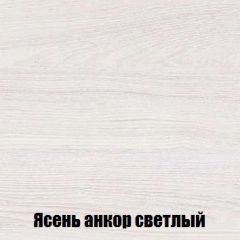 Шкаф 2-х створчатый МСП-1 (Ясень Анкор светлый) в Ишиме - ishim.mebel24.online | фото 4