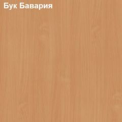Шкаф для документов двери-ниша-двери Логика Л-9.2 в Ишиме - ishim.mebel24.online | фото 2