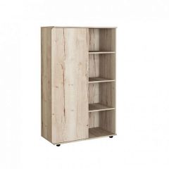 Шкаф комбинированный Дельта Лофт-13 Дуб Ирладндский в Ишиме - ishim.mebel24.online | фото