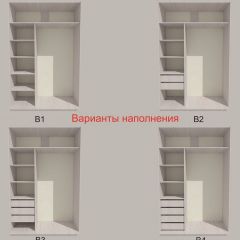 Шкаф-купе 1300 серии SILVER S3+S4+B2+PL4 (2 ящика+F обр.штанга) профиль «Серебро» в Ишиме - ishim.mebel24.online | фото 5