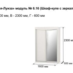 Шкаф-купе 1600 с зеркалом "Мария-Луиза 6.16" в Ишиме - ishim.mebel24.online | фото 4