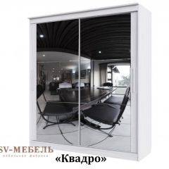 Шкаф-купе №19 Серия 3 Квадро (2000) Ясень Анкор светлый в Ишиме - ishim.mebel24.online | фото