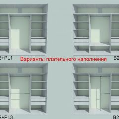 Шкаф-купе 2250 серии SILVER S3+S1+S3Z B22+PL2 (по 2 ящика лев/прав+1штанга+1 полка) профиль «Серебро» в Ишиме - ishim.mebel24.online | фото 6