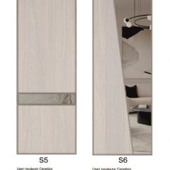 Шкаф-купе 2250 серии SILVER S5+S1+S5 B22+PL2 (по 2 ящика лев/прав+1 штанга+1 полка) профиль «Серебро» в Ишиме - ishim.mebel24.online | фото 13
