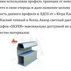 Шкаф-купе 2250 серии SILVER S5+S1+S5 B22+PL2 (по 2 ящика лев/прав+1 штанга+1 полка) профиль «Серебро» в Ишиме - ishim.mebel24.online | фото 16